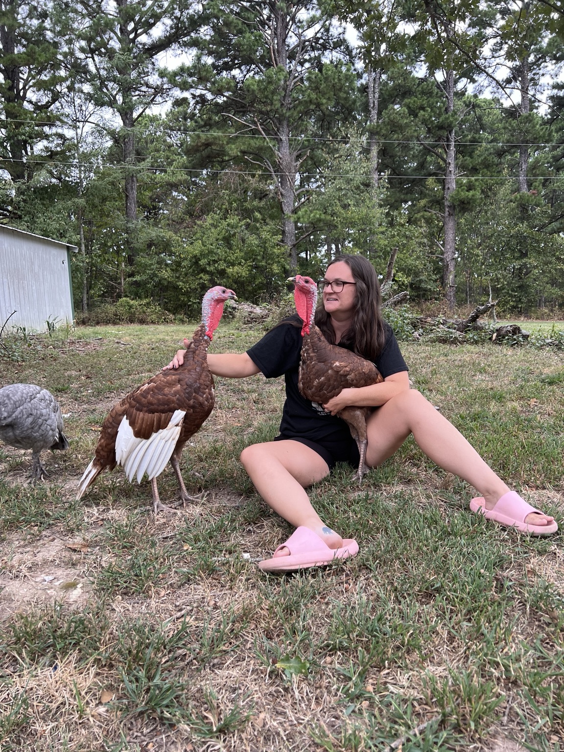 Claire sitting on the grass with some turkeys beside her